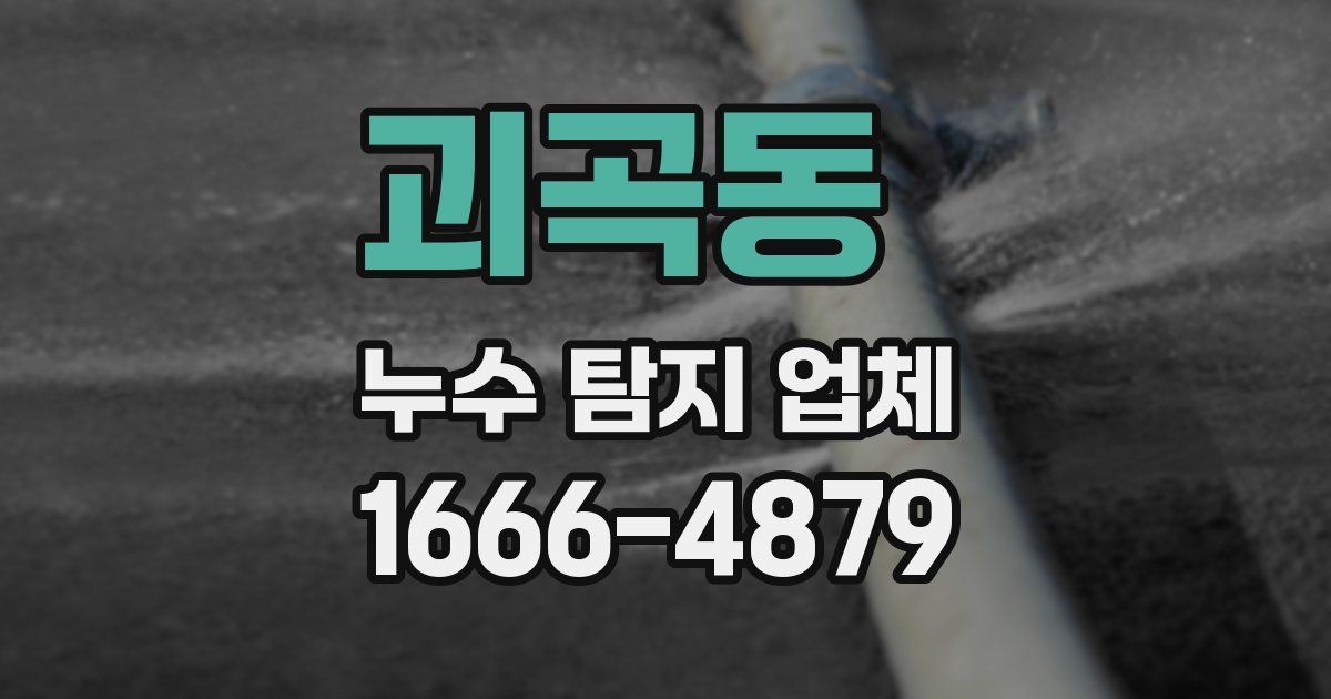 괴곡동 누수 탐지 업체