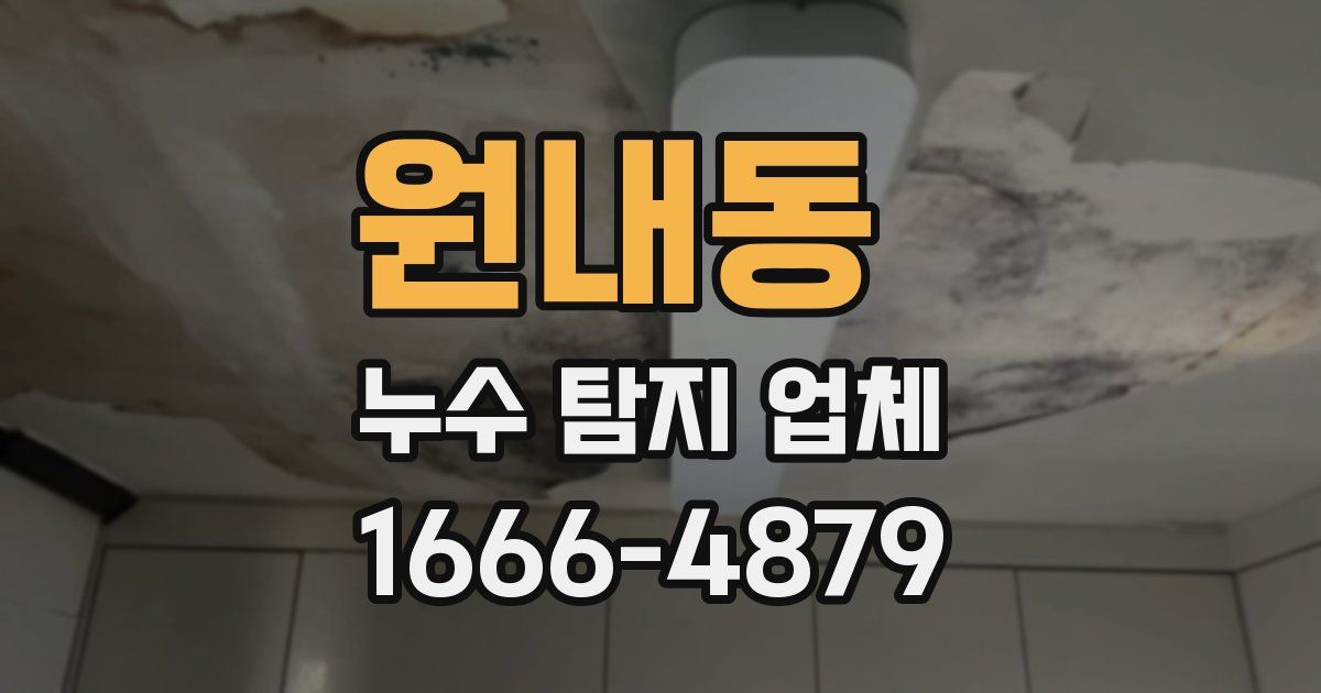 원내동 누수 탐지 업체