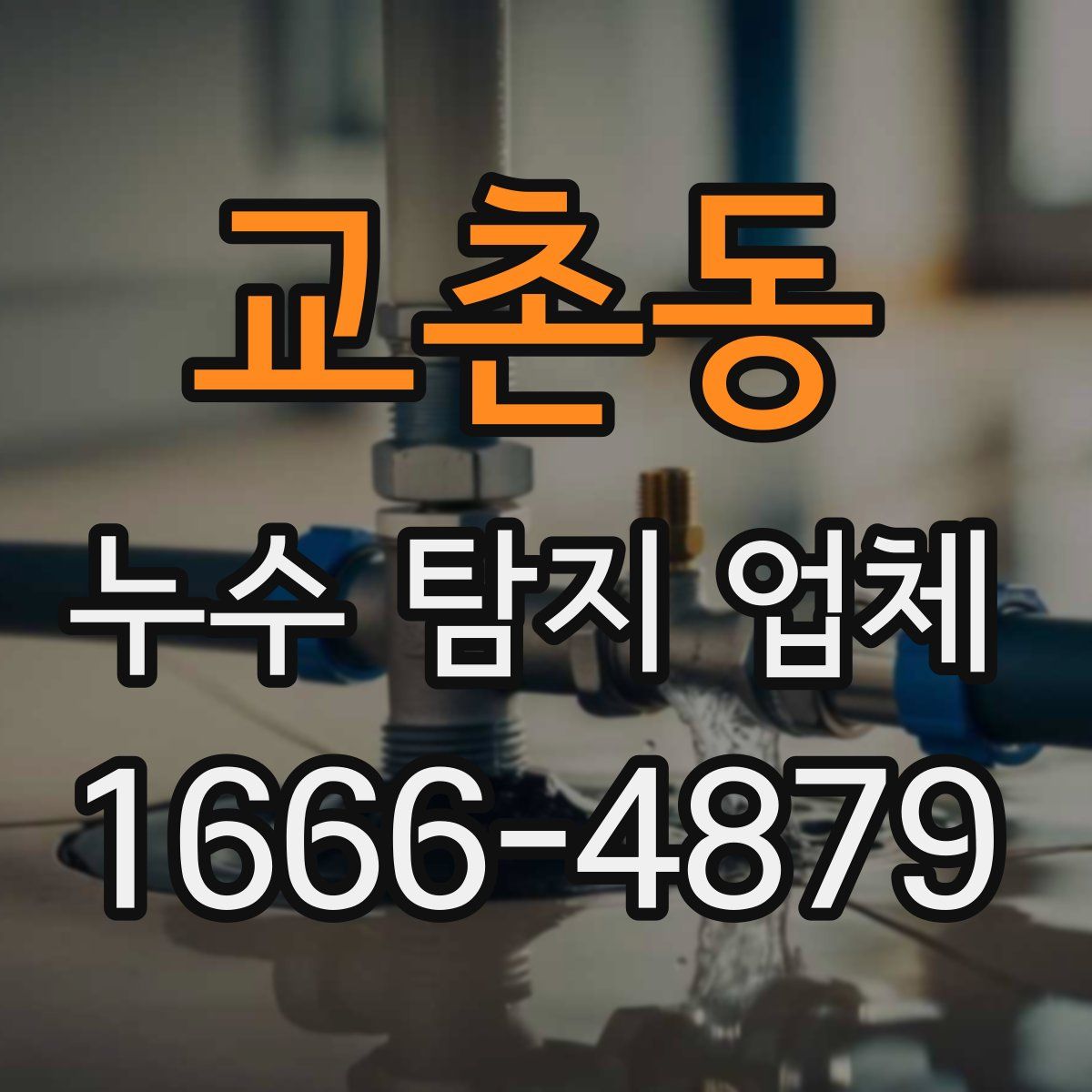 교촌동 누수 탐지 업체