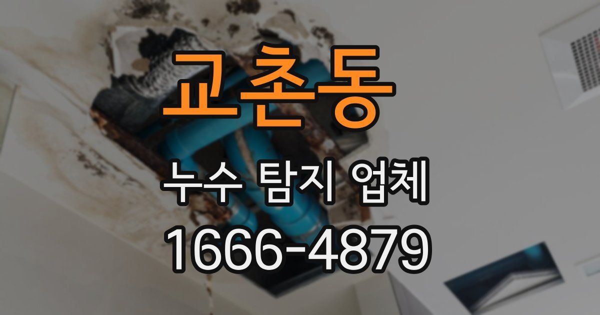 교촌동 누수 탐지 업체