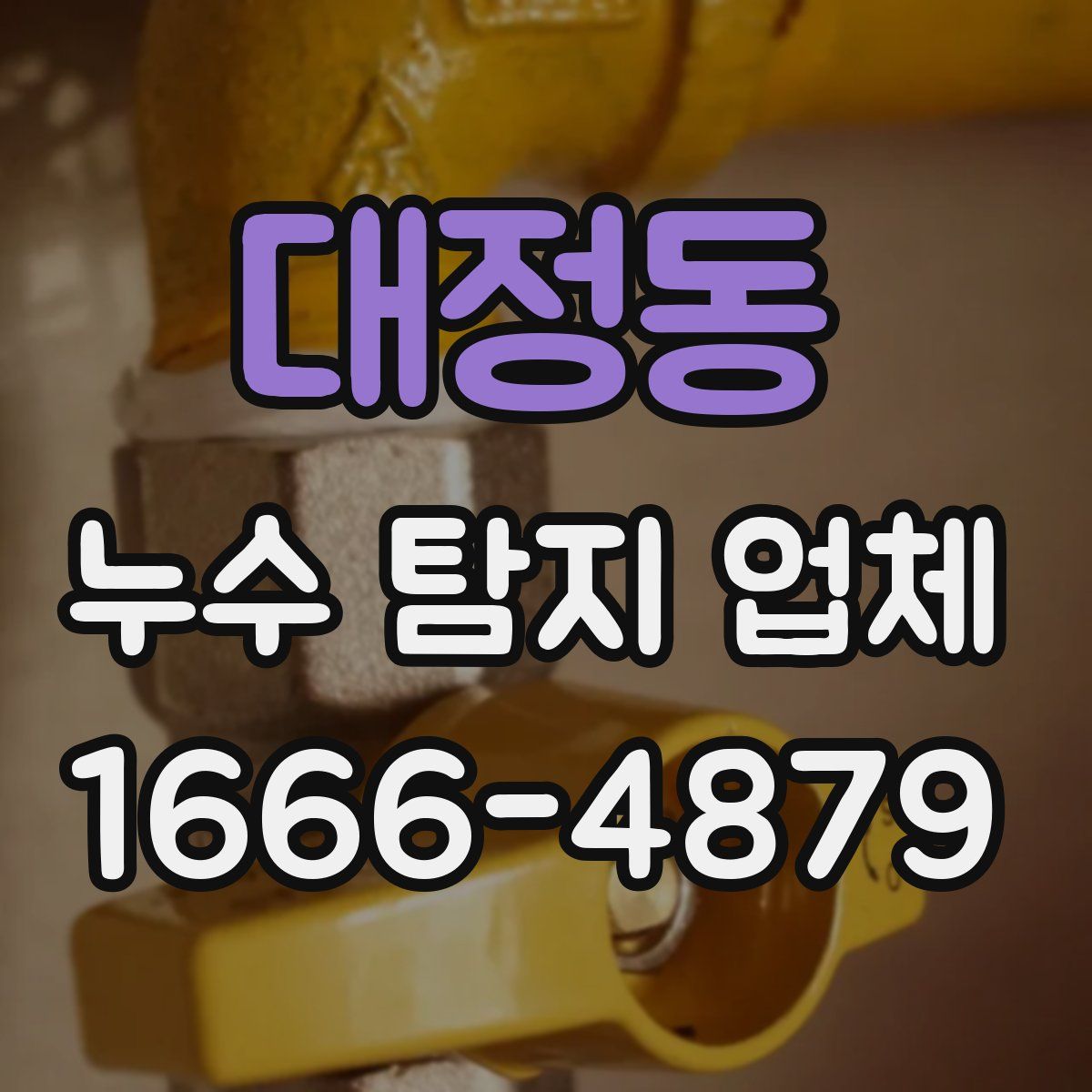 대정동 누수 탐지 업체