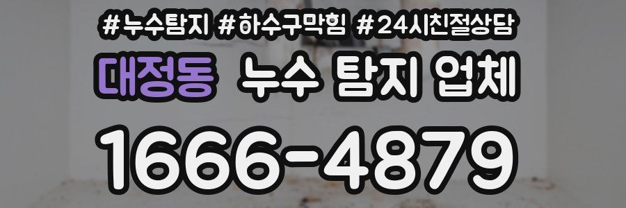 대정동 누수 탐지 업체