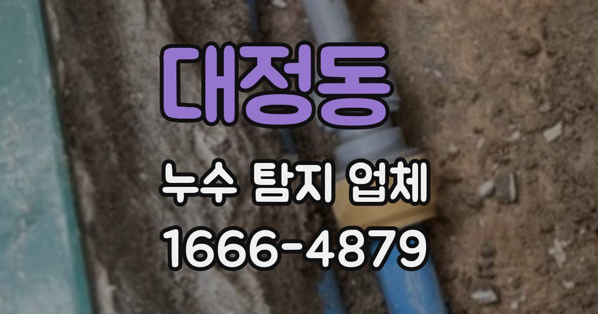 대정동 누수 탐지 업체