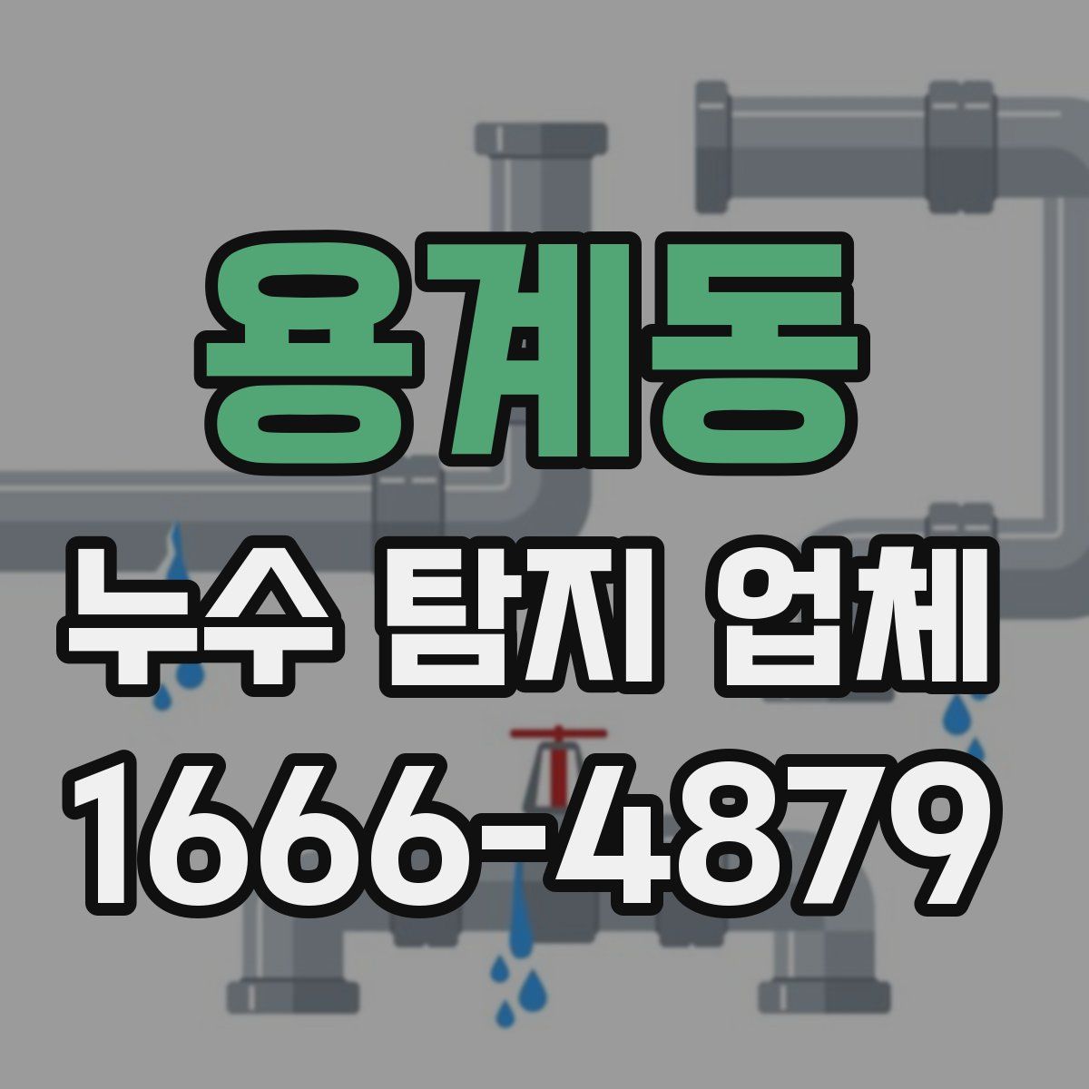 용계동 누수 탐지 업체