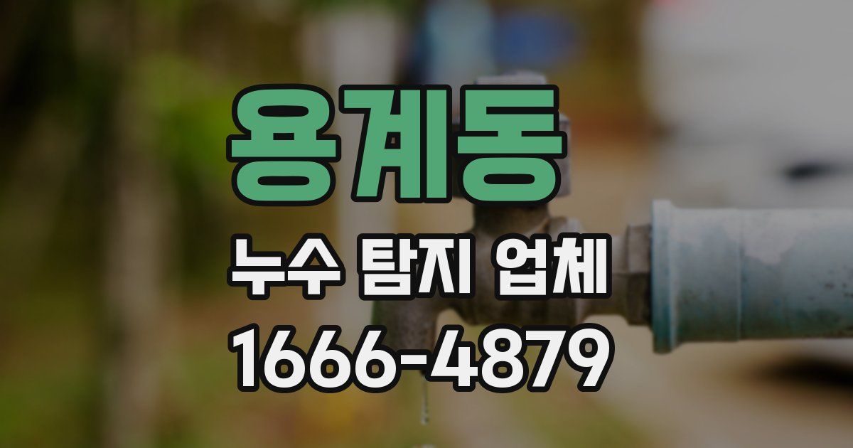 용계동 누수 탐지 업체