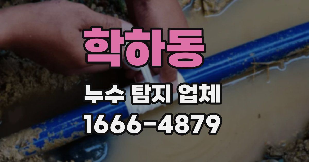학하동 누수 탐지 업체