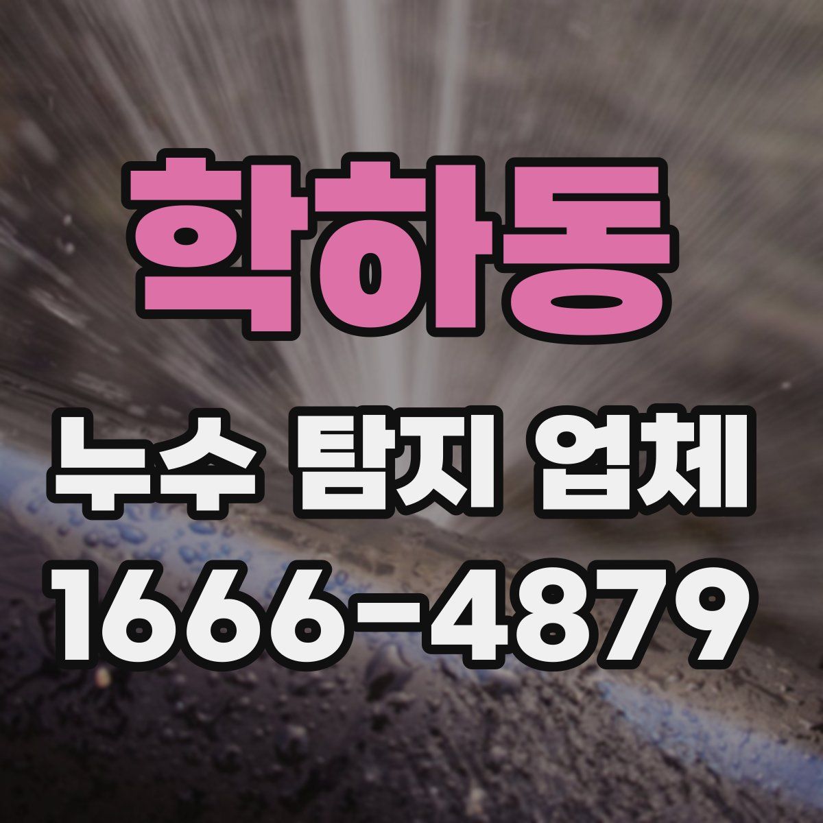 학하동 누수 탐지 업체
