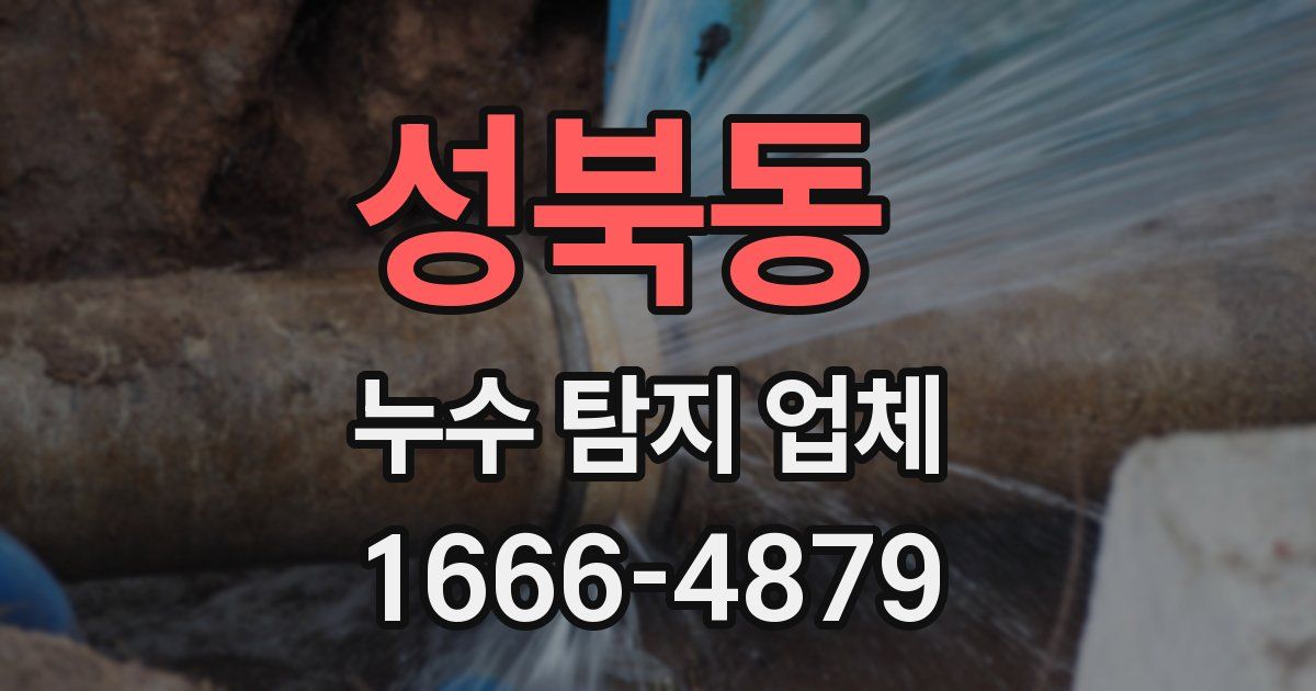 성북동 누수 탐지 업체