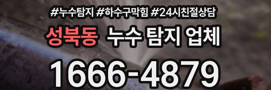 성북동 누수 탐지 업체