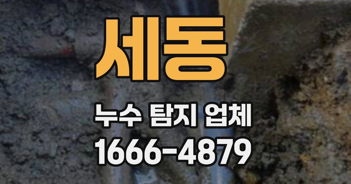 세동 누수 탐지 업체