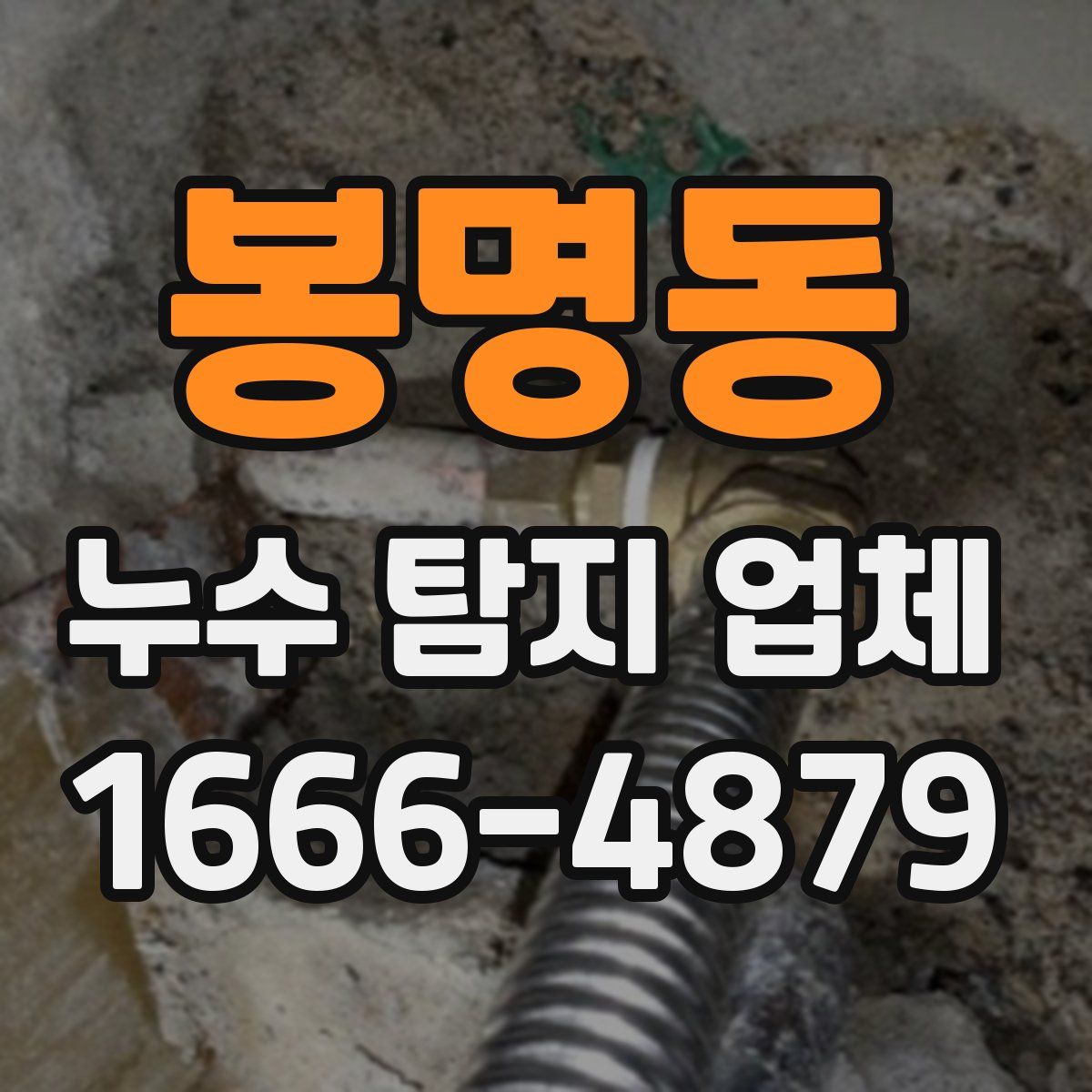 봉명동 누수 탐지 업체