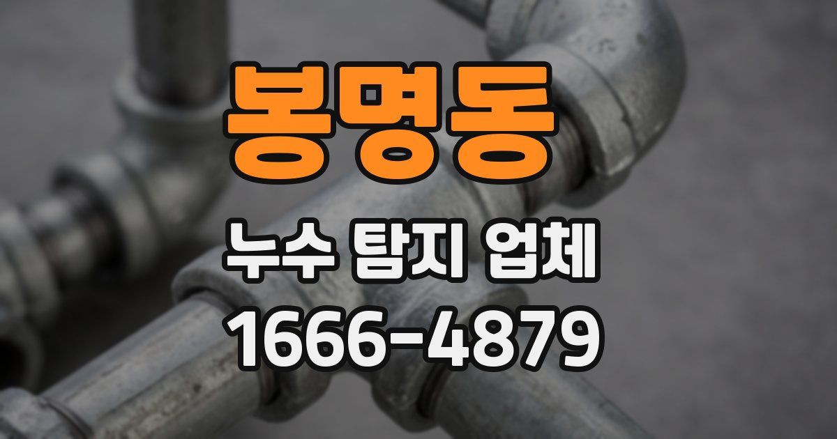 봉명동 누수 탐지 업체