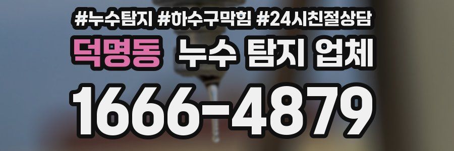 덕명동 누수 탐지 업체