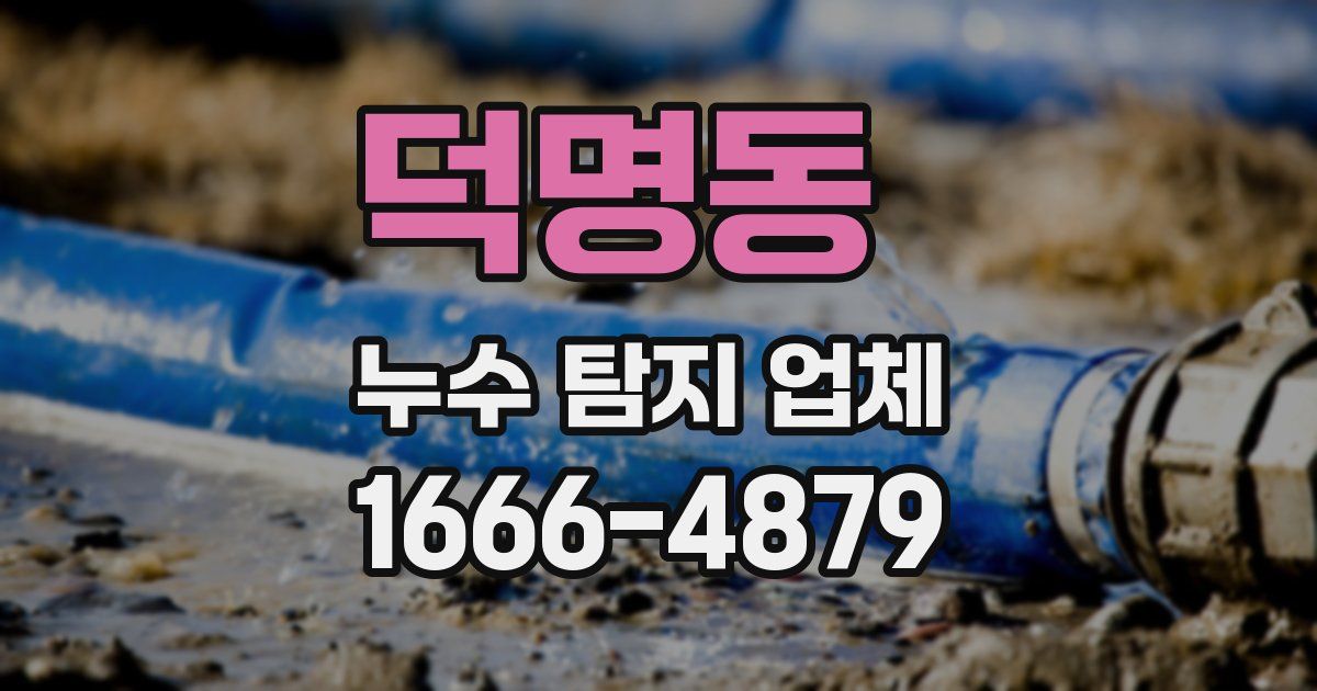 덕명동 누수 탐지 업체