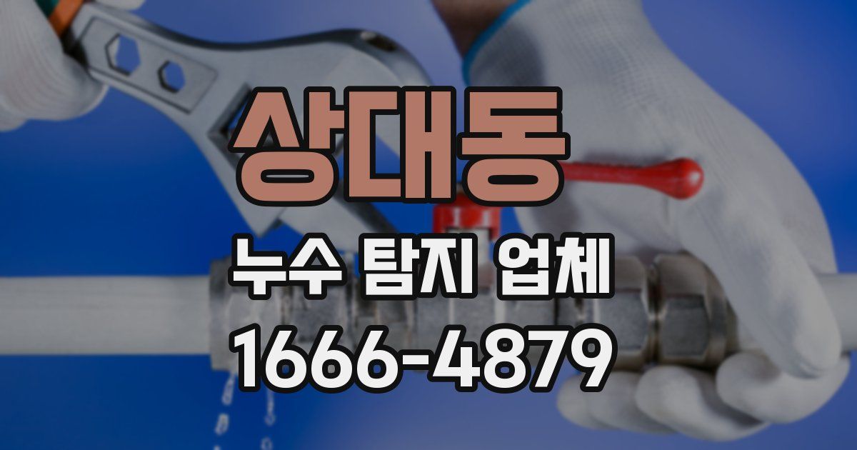 상대동 누수 탐지 업체