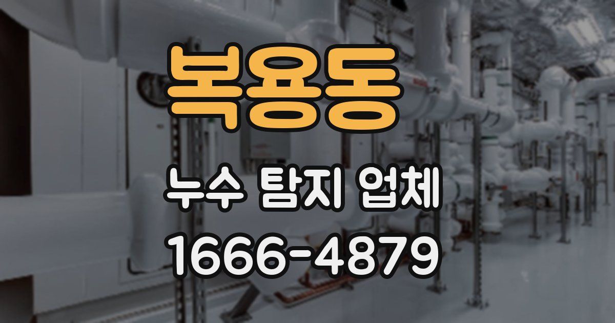 복용동 누수 탐지 업체
