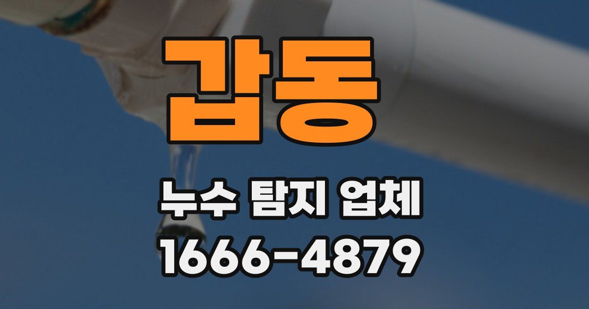 갑동 누수 탐지 업체
