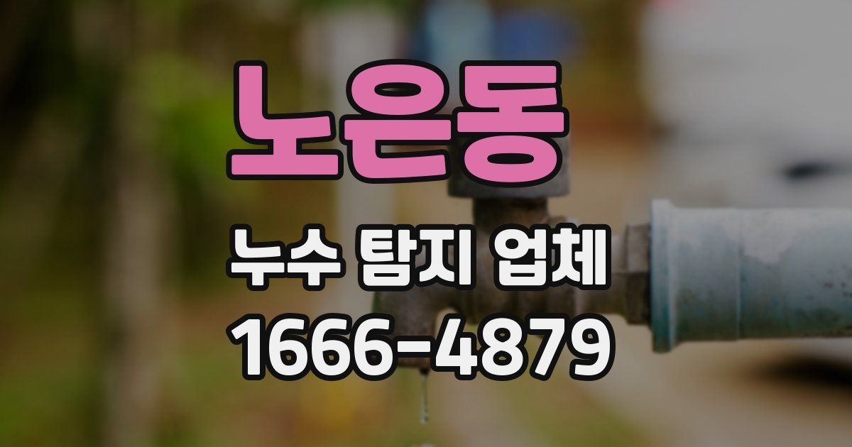 노은동 누수 탐지 업체