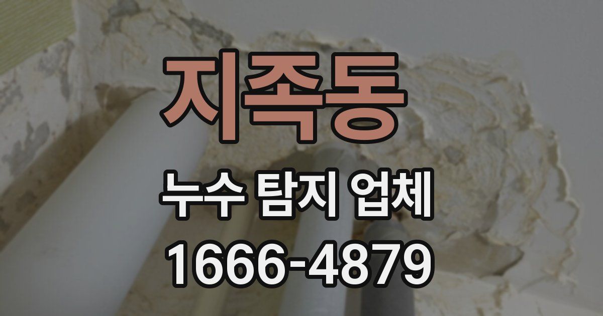 지족동 누수 탐지 업체