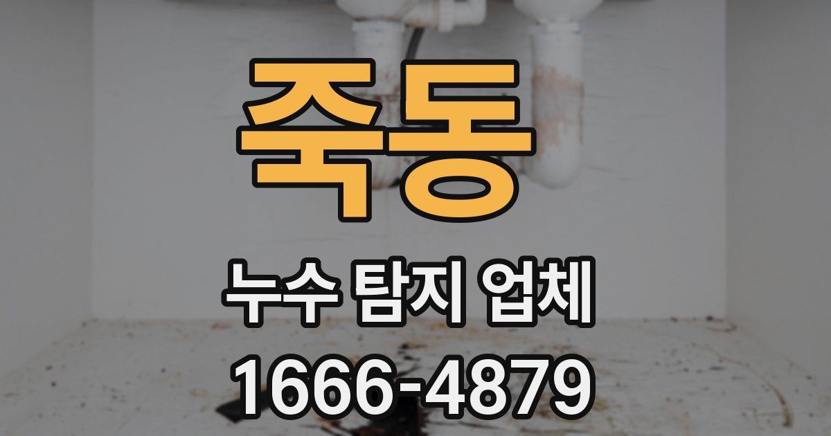 죽동 누수 탐지 업체