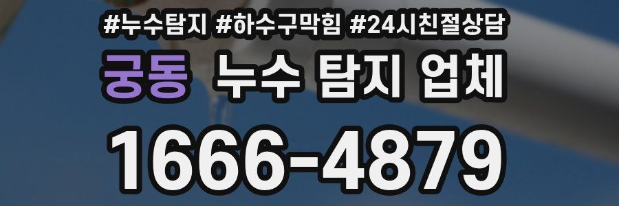 궁동 누수 탐지 업체