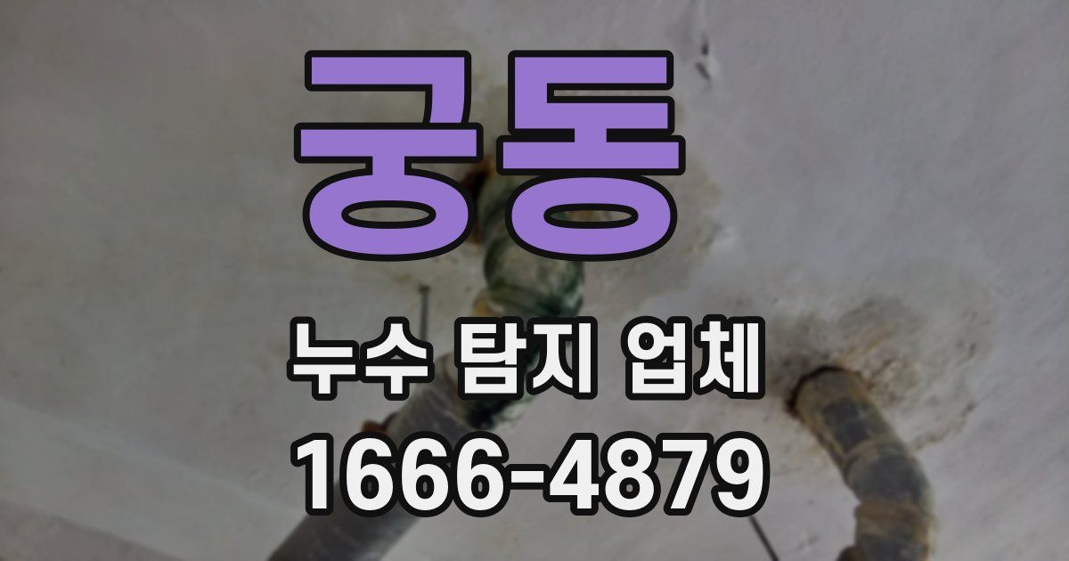 궁동 누수 탐지 업체
