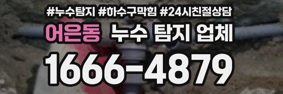 어은동 누수 탐지 업체