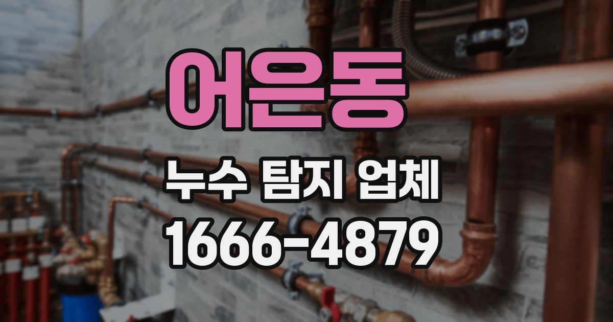어은동 누수 탐지 업체