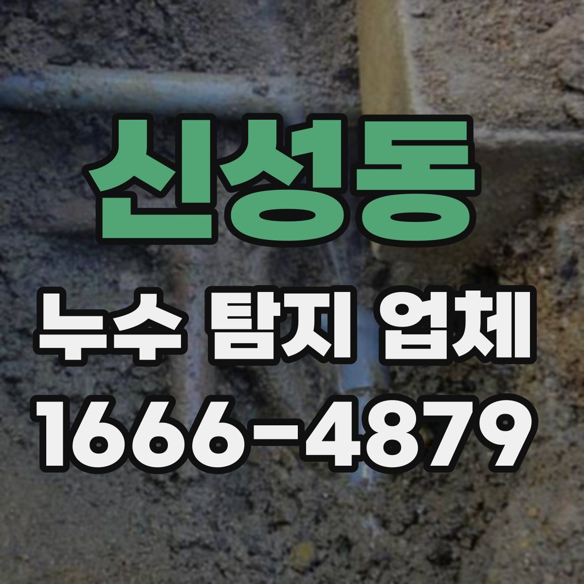 신성동 누수 탐지 업체