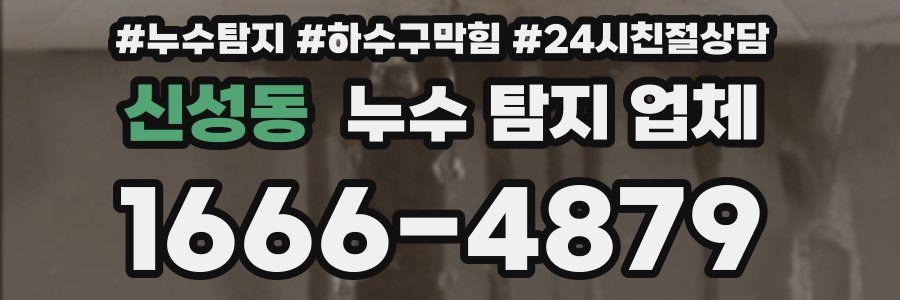 신성동 누수 탐지 업체