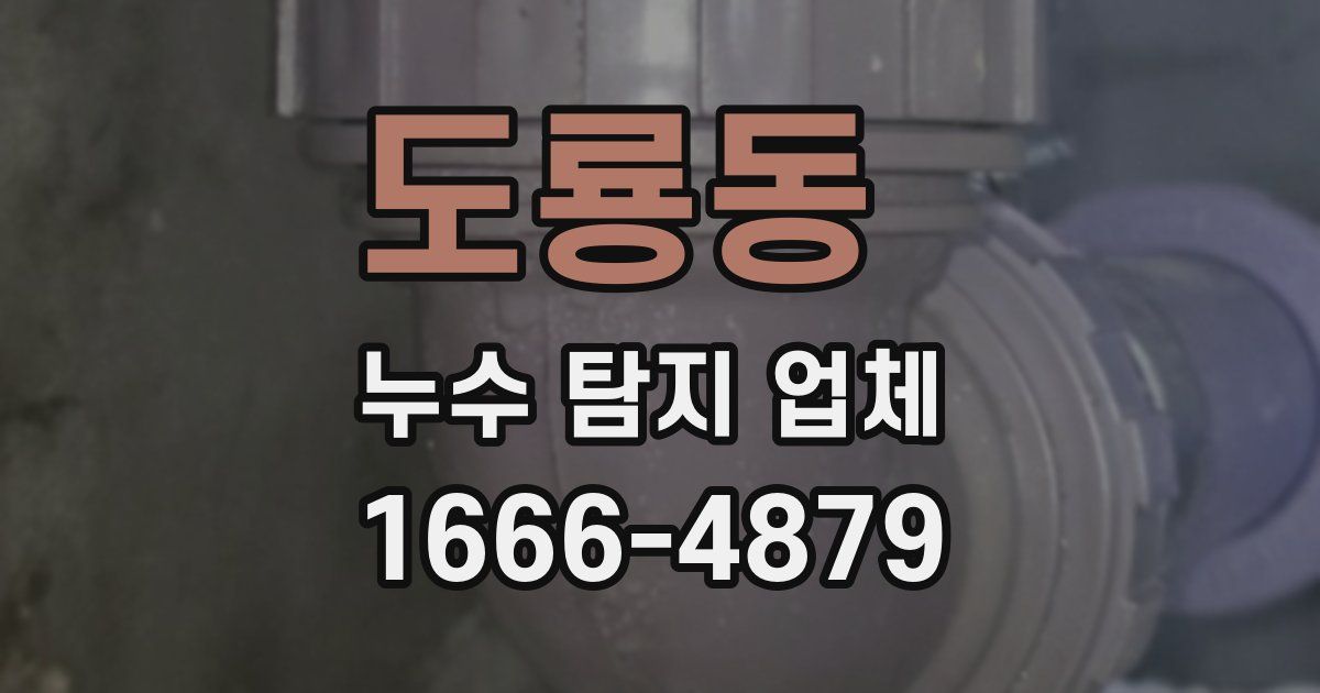 도룡동 누수 탐지 업체