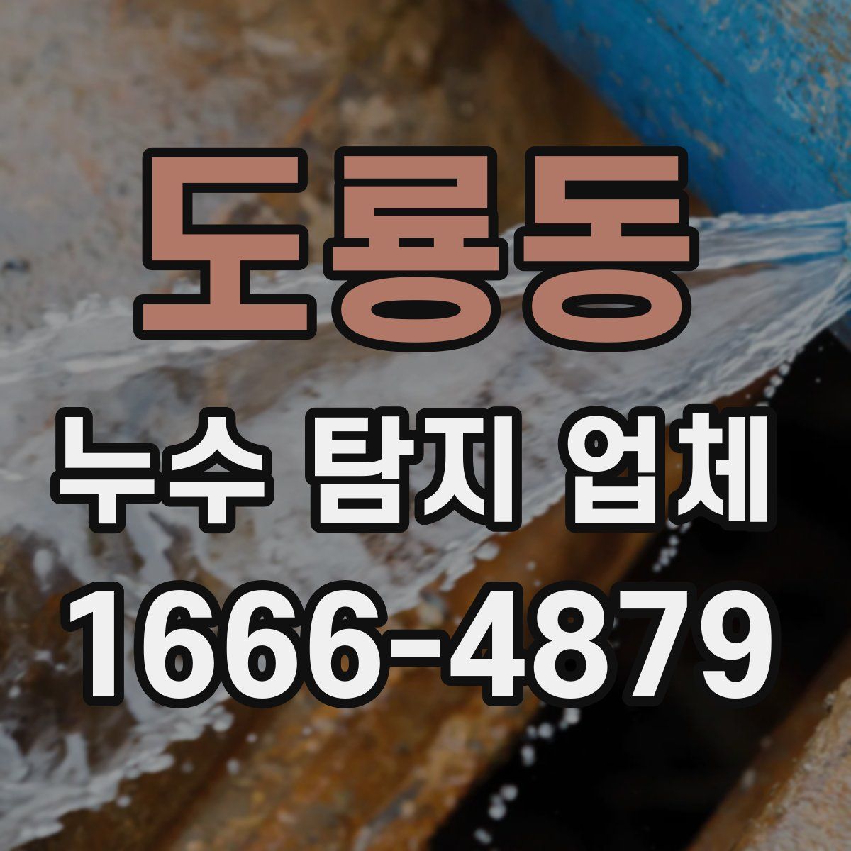 도룡동 누수 탐지 업체