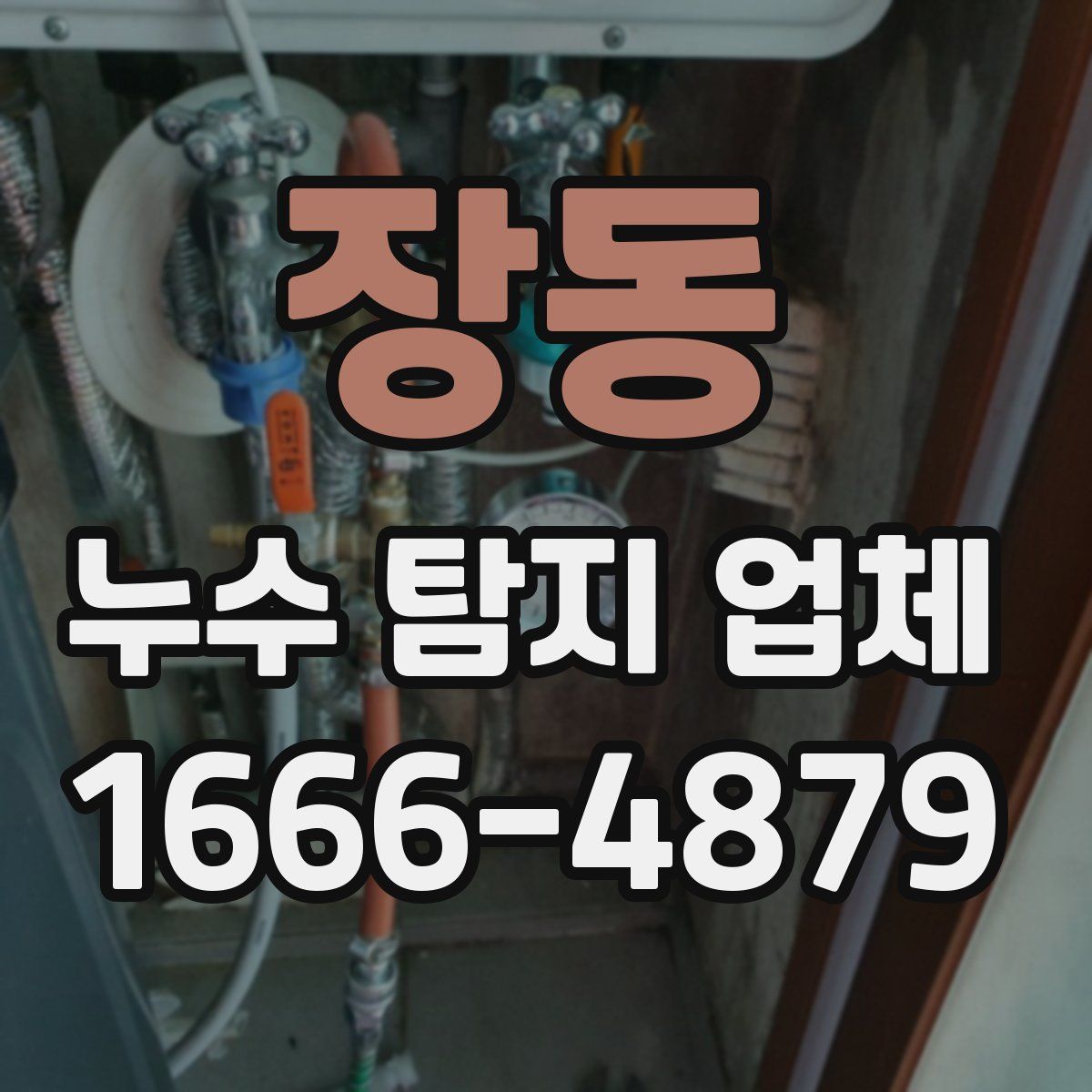 장동 누수 탐지 업체