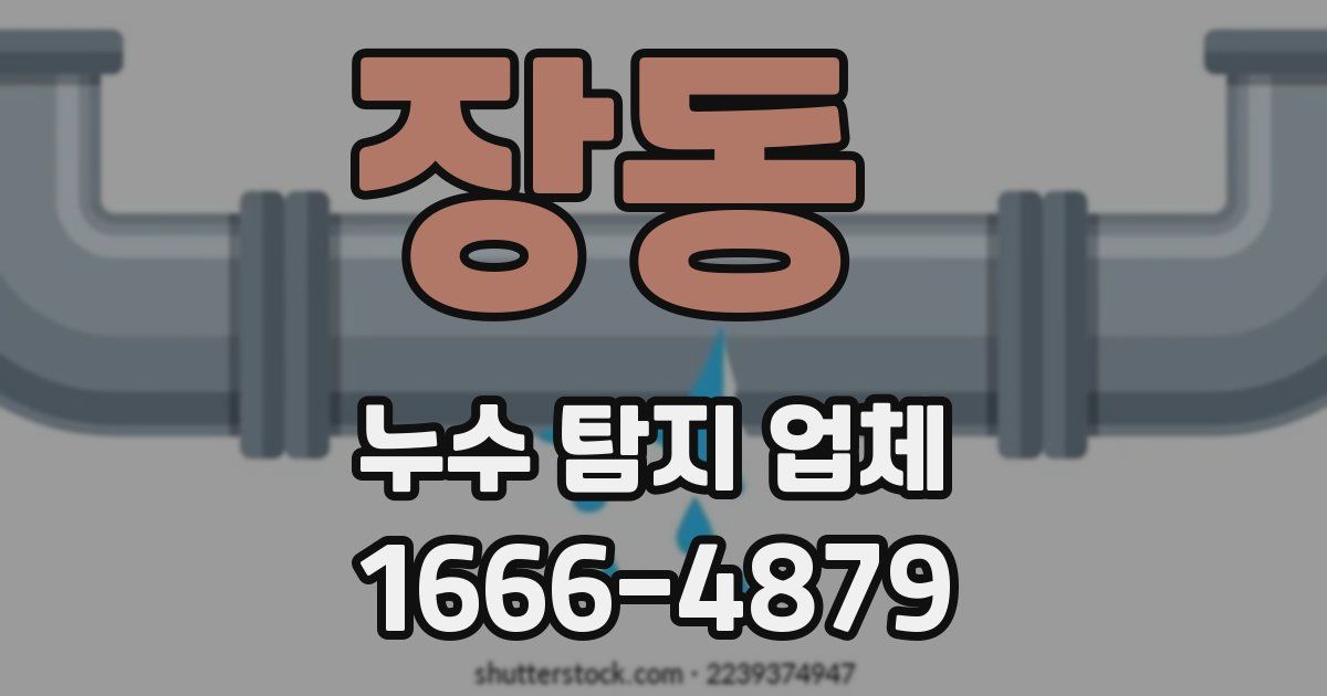 장동 누수 탐지 업체