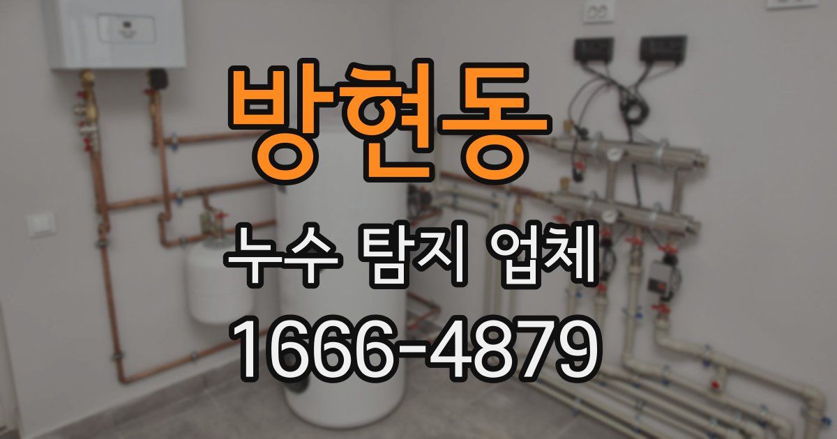 방현동 누수 탐지 업체