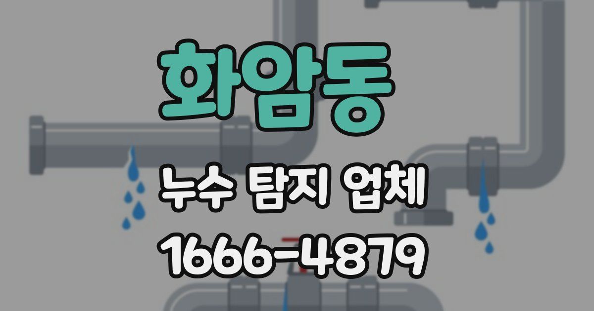 화암동 누수 탐지 업체