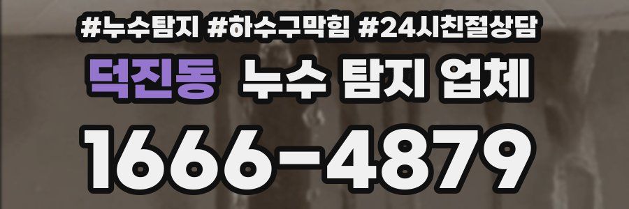 덕진동 누수 탐지 업체