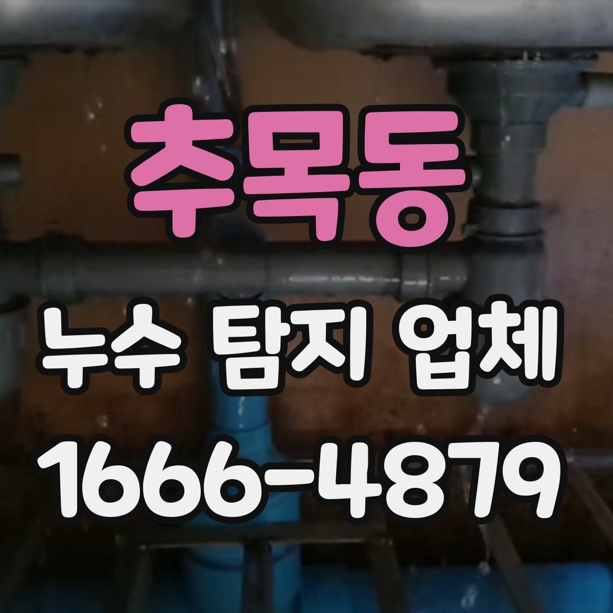 추목동 누수 탐지 업체