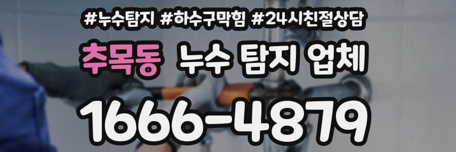 추목동 누수 탐지 업체