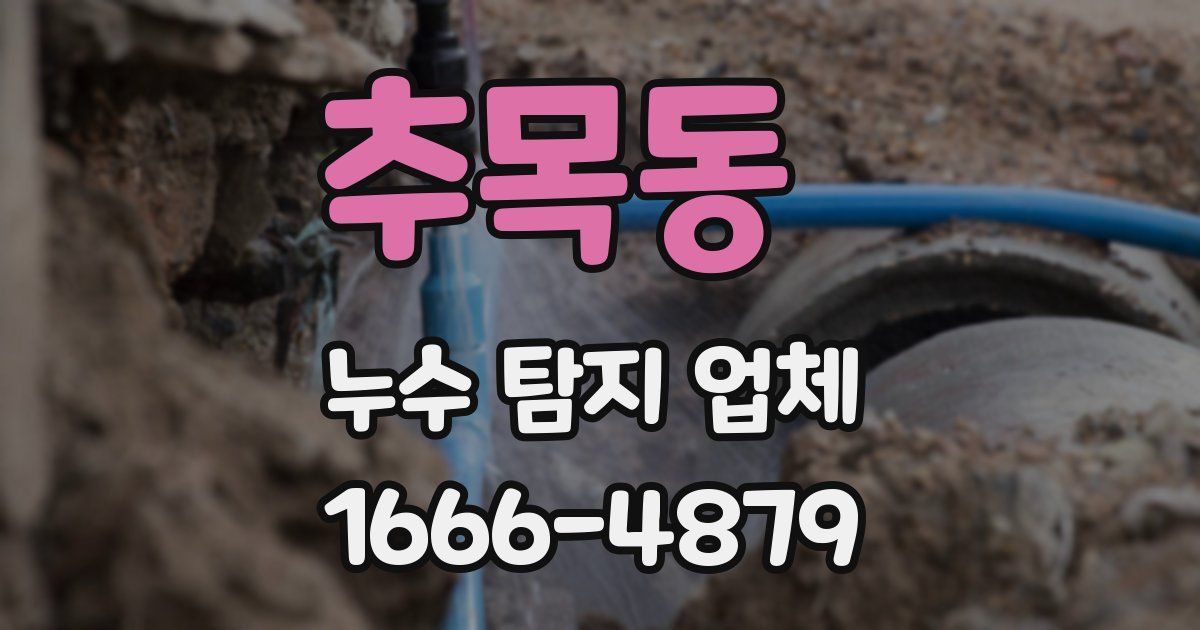 추목동 누수 탐지 업체