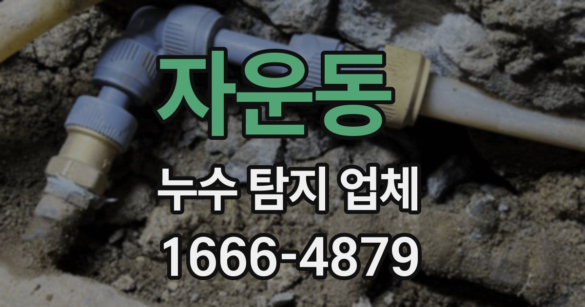 자운동 누수 탐지 업체