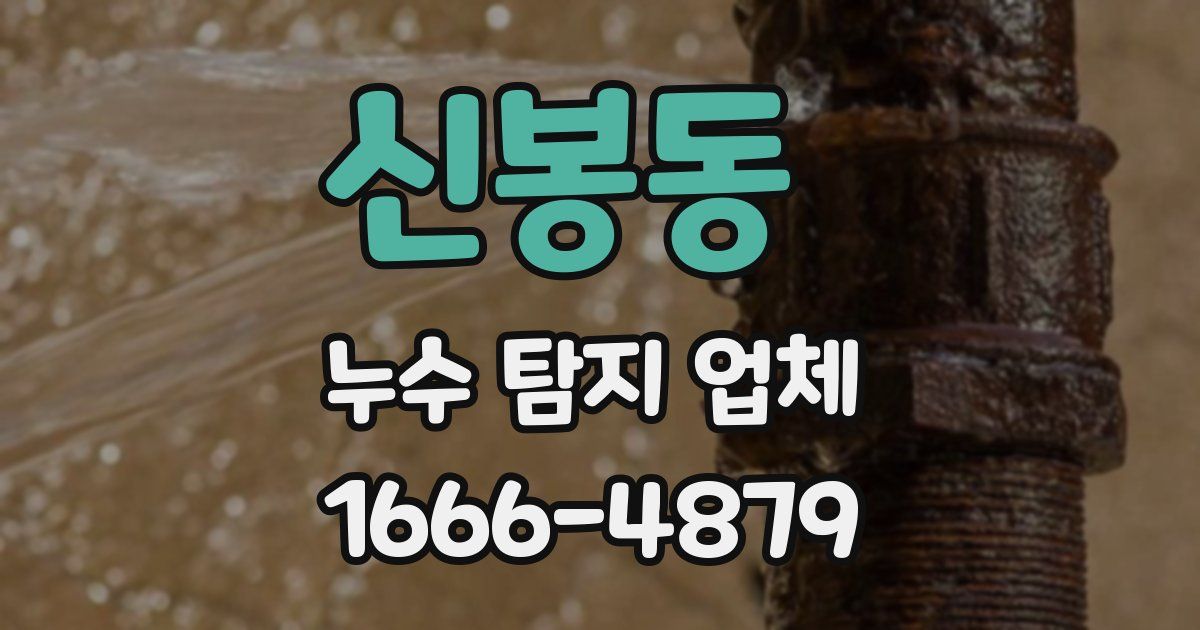 신봉동 누수 탐지 업체