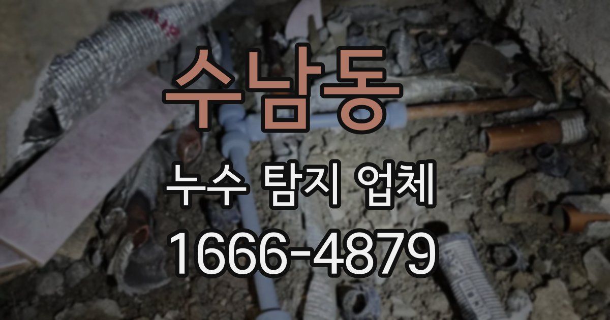 수남동 누수 탐지 업체
