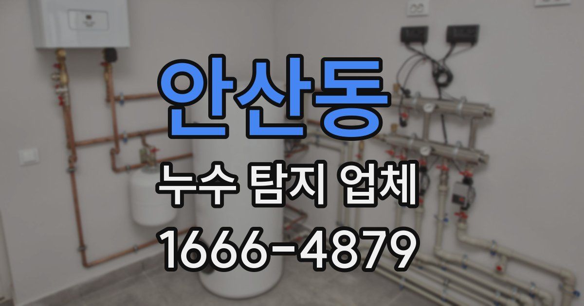 안산동 누수 탐지 업체