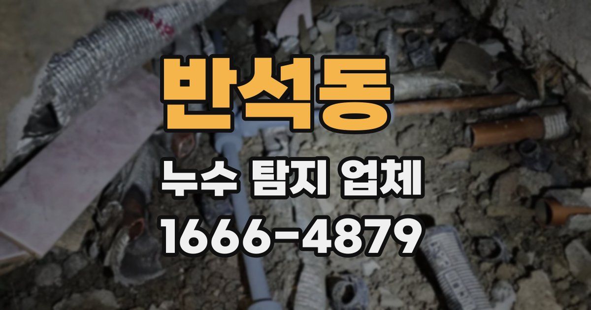 반석동 누수 탐지 업체