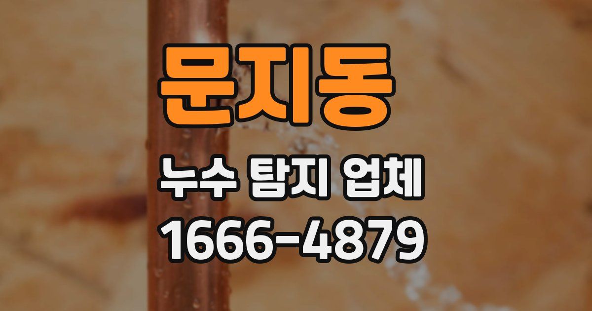 문지동 누수 탐지 업체