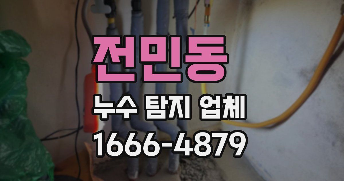 전민동 누수 탐지 업체