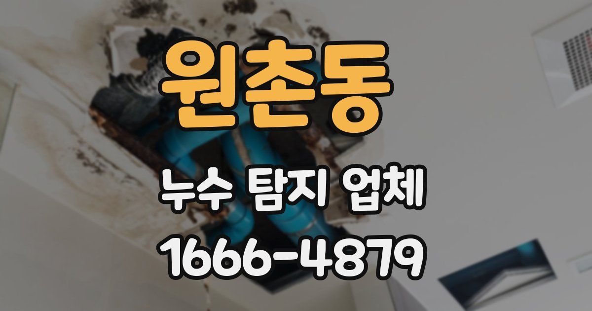 원촌동 누수 탐지 업체