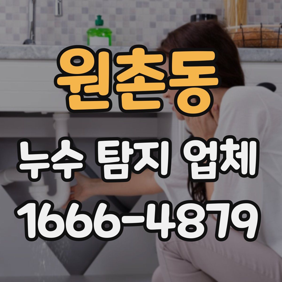 원촌동 누수 탐지 업체