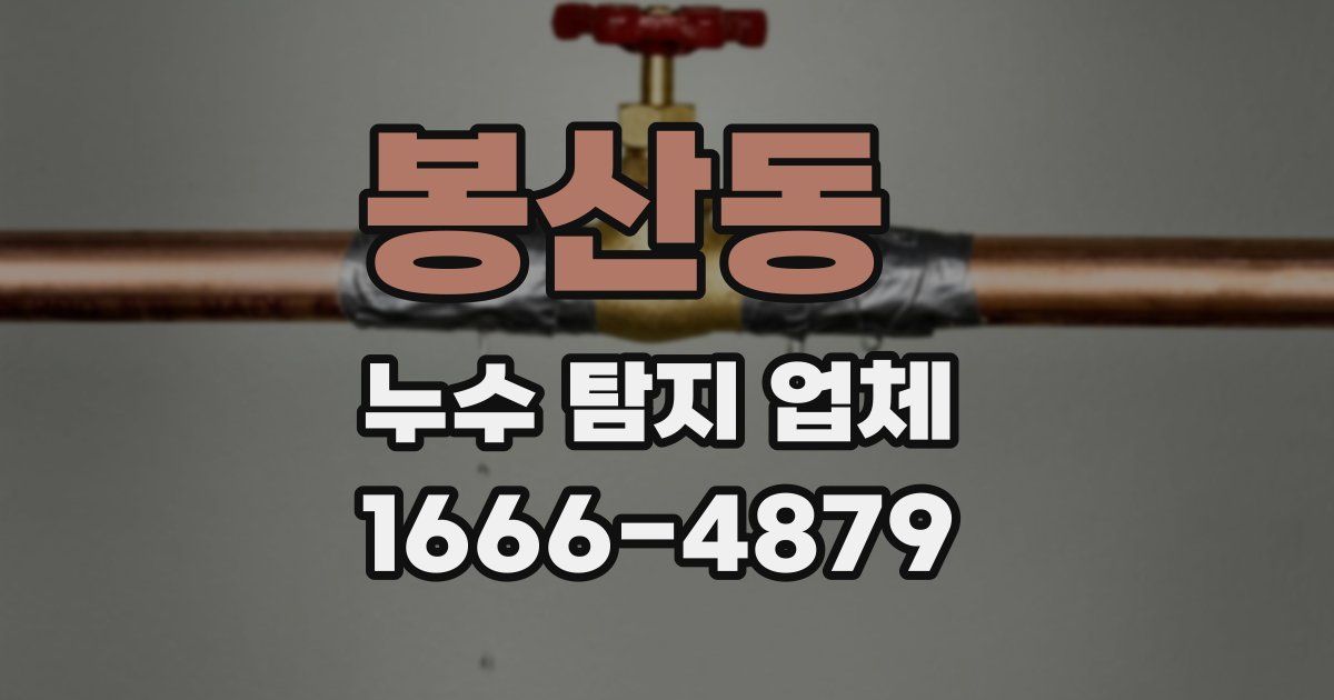 봉산동 누수 탐지 업체